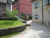 Baumfaellen07-01