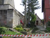Baumfaellen07-03