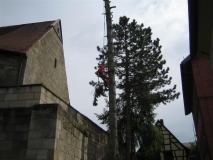 Baumfaellen07-05