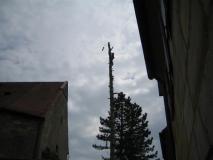 Baumfaellen07-09