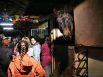 StaendchenWild09-18