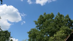 P1037958
