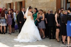 Hochzeit Pürkel 08.06.13