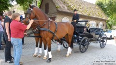 HochzeitPuerkel13-31