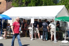 Tag der Franken 30.06.18